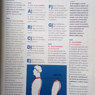 Italia  i tre diaframmi nota lne italy